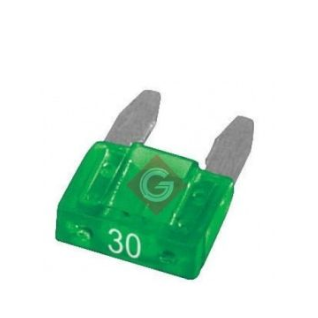 FUSIVEL 30 A MINI