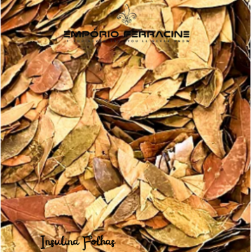 Background Carrossel
