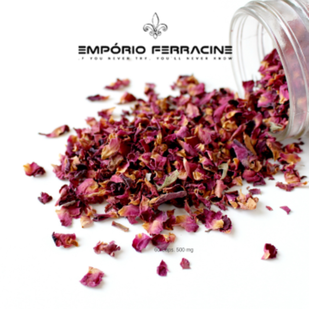 Background Carrossel