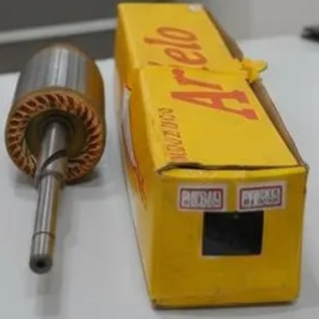 INDUZIDO MOTOR PART D10 D20 F1000 F4000 F11000 AR123 ARI 9001453260 SIST WAPSA