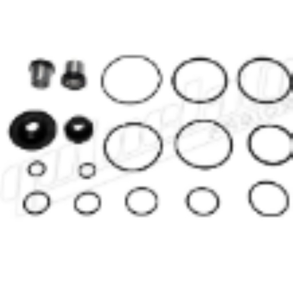 REPARO VALV PEDAL CARGO 02> PARCIAL QA1051 QUIN 4613150062