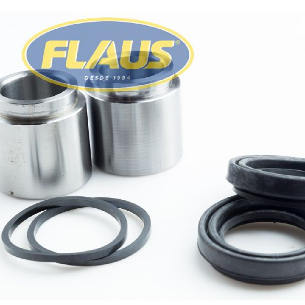 REP PISTAO PINÇA FR HR 05>12 703466 FLA 581124F0002  1LD 46MM