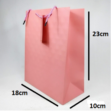 SACOLA PAPEL PEQUENA LG200