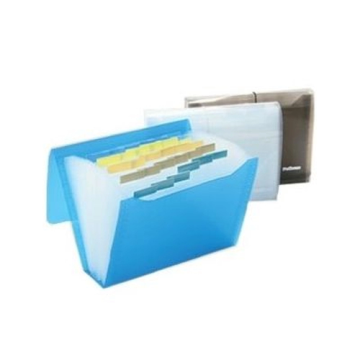 PASTA SANFONADA DUPLICATA 12 DIV