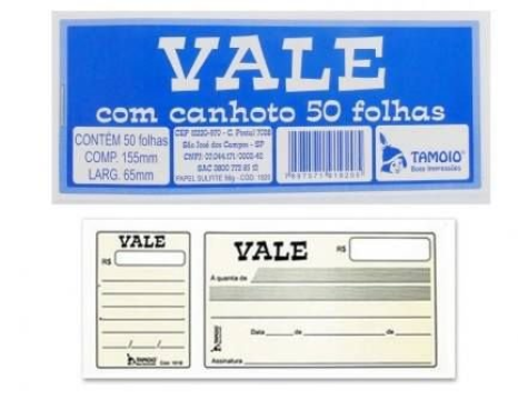 TALÃO DE VALE COM CANHOTO 100 FLS