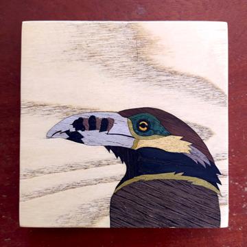 ARAÇARI-POCA - QUADRO EM MARCHETARIA