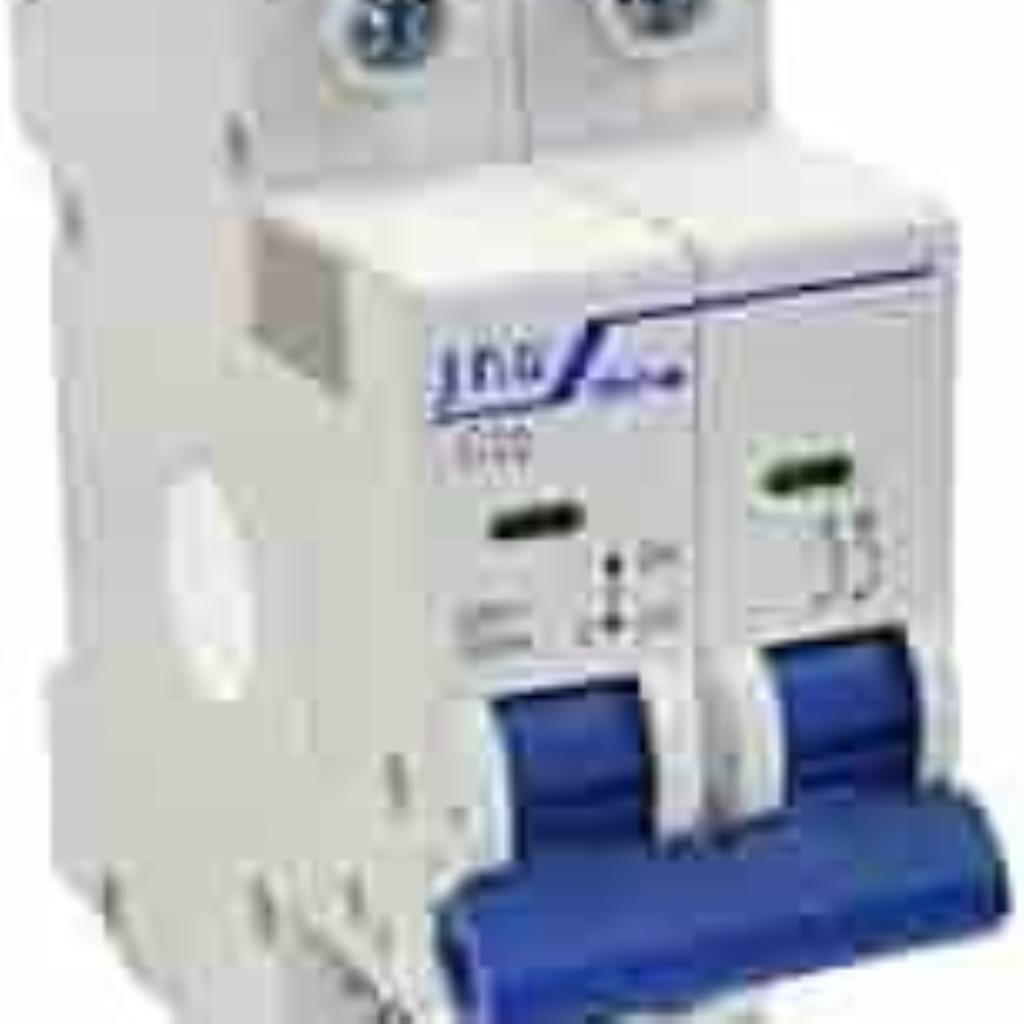 Disjuntor Bipolar 40A Branco Din Jng C6