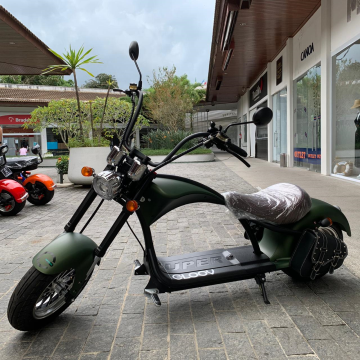 CICLO ELÉTRICO MODELO S1 (60V23AH2500W) Cor Verde Fosco