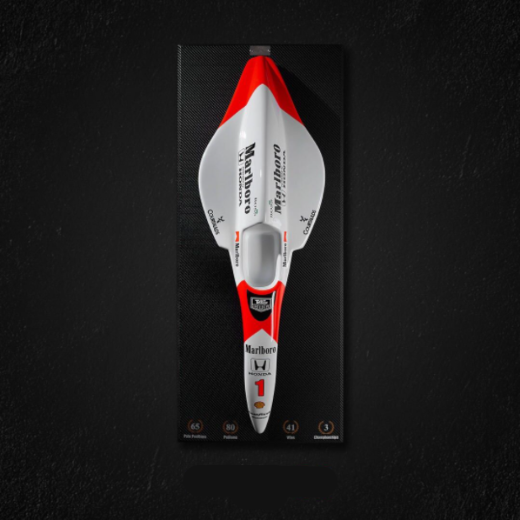 Quadro Mclaren MP4 6 1991