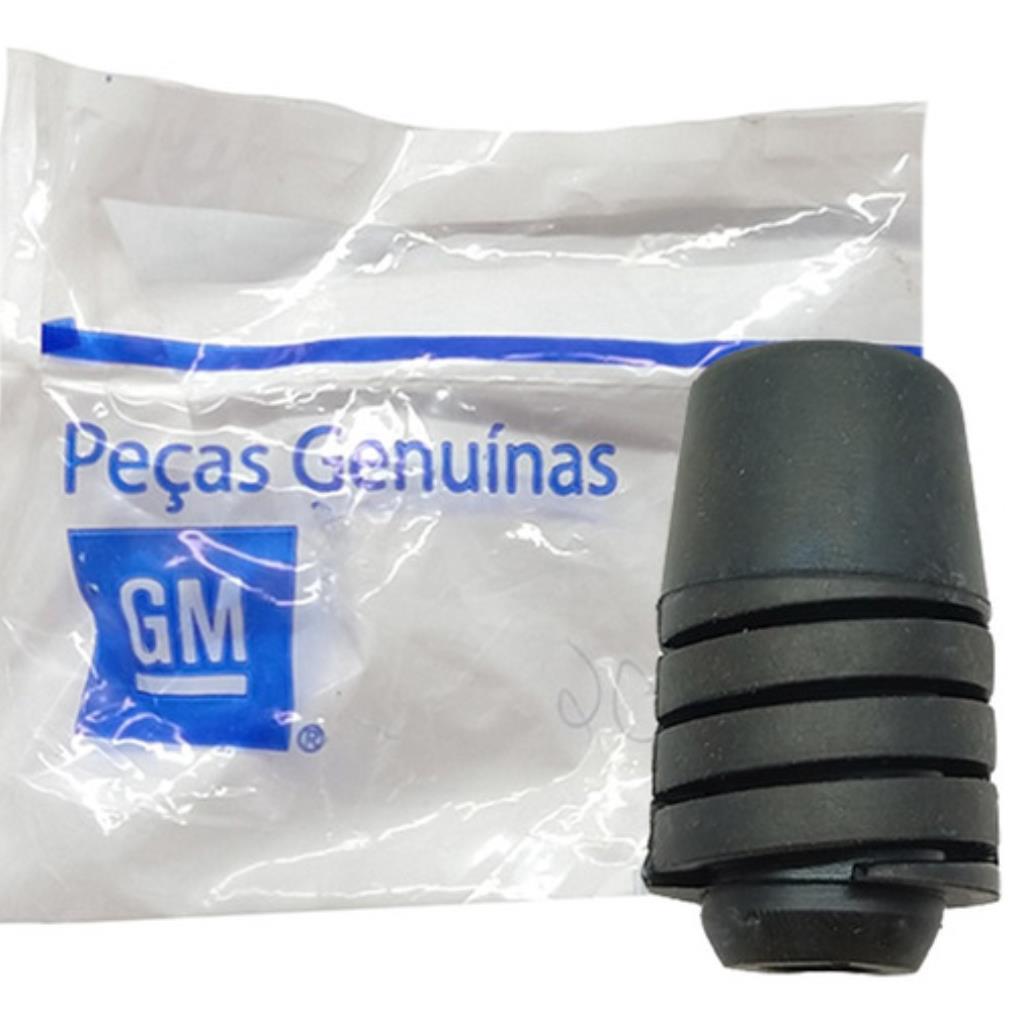 96169594 - BATENTE TAMPA TRASEIRA COBALT/SPIN/ONIX/COBALT